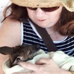 Diane Needham Johnston - @diane.n.johnston.9 - Instagram