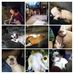 Diane Ness Enoch - Facebook