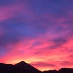 Diane Nester - @jdknester - Instagram