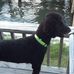 Diane Newcomer - Facebook