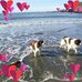 Diane Newquist - Facebook