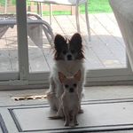 Diane Leigh Nieman - @diane.l.nieman - Instagram