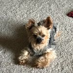 Diane Niemann - @niemann.diane - Instagram