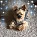 Diane Niemann - Facebook