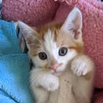 Diane Nitz - Facebook