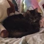 Diane Nix - @dinus03 - Instagram