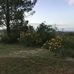 Diane Rogene Noline - @dianenoline20 - Instagram