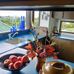 Diane Noone - Facebook