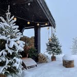 Diane North - @dianenorth607l1 - Instagram