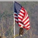 Diane Nowak - Facebook