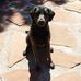 Diane Noyes - Facebook
