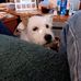 Diane Null - Facebook
