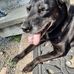 Diane Nuss - Facebook