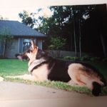 Diane Oberg - @diane.oberg.90 - Instagram