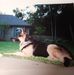 Diane Oberg - Facebook