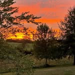 Diane Olson Ogle - @doogle745 - Instagram