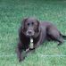 Diane Oldham - Facebook