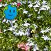 Diane Osland - Facebook
