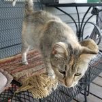 Diane Oslund - @oslund1086 - Instagram