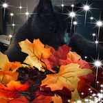 Diane Otis - @nomardman - Instagram
