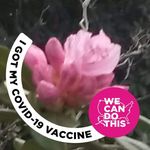 Diane McLeod-Packer - @mcleodpacker - Instagram