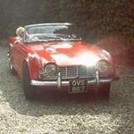 Diane Palmer - @diane.palmer.148 - Instagram