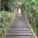 Dianne Pare - Facebook