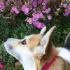 Diane Patrick935 - @dpatrick02 - TikTok