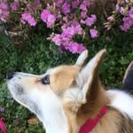 Diane Patrick - @dianepatrick - Instagram