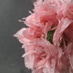 Diane Patrick - @dianepatrickcreative - Instagram