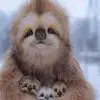 Diane Patrick - @diane.patrick25 - TikTok