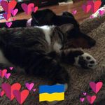 Diane Patten - @pattendiane - Instagram
