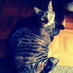 Diane Patten Parker - @diane.parker.169 - Instagram