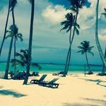 Diane Patterson - @dianepattersonrealtor - Instagram