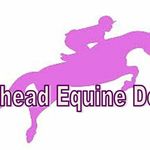 Diane Patterson - @pathhead_equine_design - Instagram