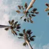 Diane Paz - @edianeribeiropz - TikTok