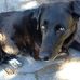 Diane Pedersen - Facebook