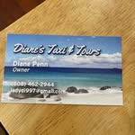 Diane Penn - @dianestaxiandtours - Instagram