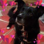 Diane Penny - @diane.penny.5 - Instagram