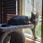 Diane Pepper - @soccermom148 - Instagram