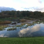 Diane Petit - @diane.petite - Instagram