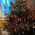 Diane Petit - @dinou33_ - Instagram