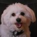 Diane Petit - Facebook