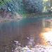 Diane Petit-Bourg - Facebook