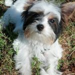 Diane Pickens Carlton - @dpcarlton88 - Instagram