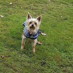 Diane Pickering - @pickering5845 - Instagram