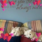 Diane Hopkins Pierson - @dianepierson8594 - Instagram