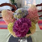 Diane Latham Player - @dlg7007 - Instagram