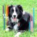 Diane Pleyer - Facebook