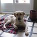 Diane Plouffe - Facebook